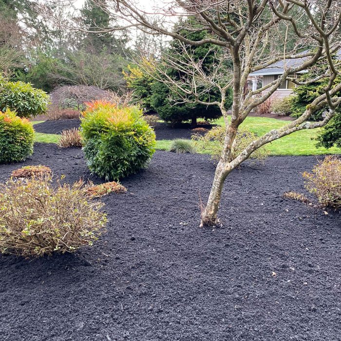 Bark and Mulch Garden Bed