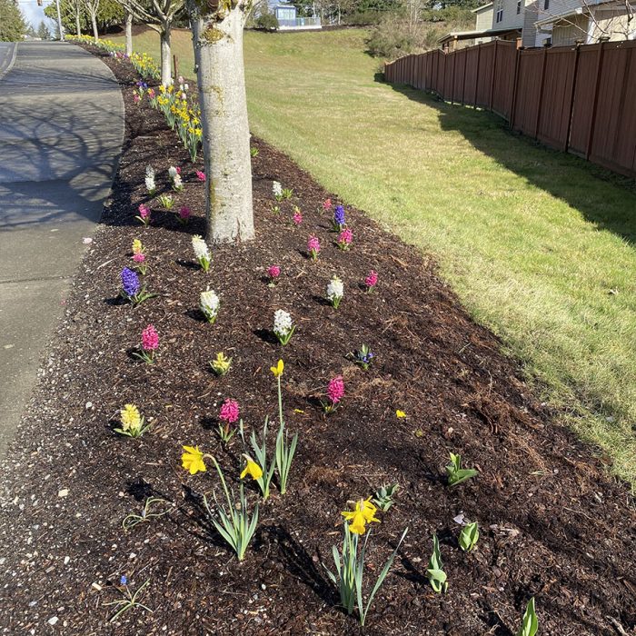 Seasonal color – spring