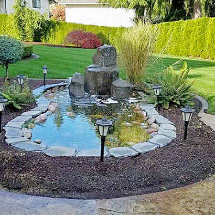 Water Feature