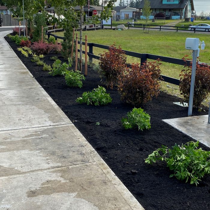 Landscaping: Fence